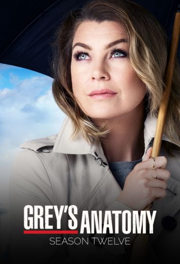مسلسل Grey’s Anatomy الموسم 12 الحلقة 13 مترجمة